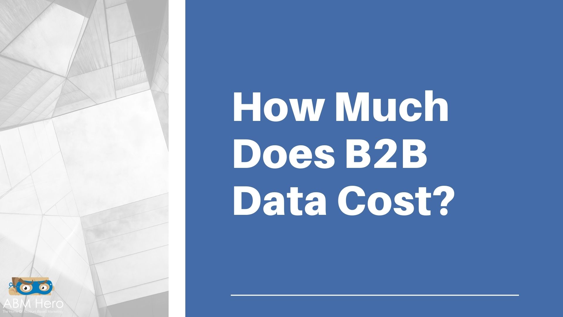 You are currently viewing How Much Does B2B Data Cost?