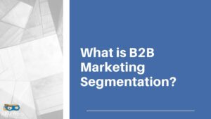 Read more about the article What is B2B Marketing Segmentation?
