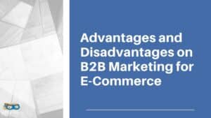 Read more about the article Advantages and Disadvantages on B2B Marketing for E-Commerce