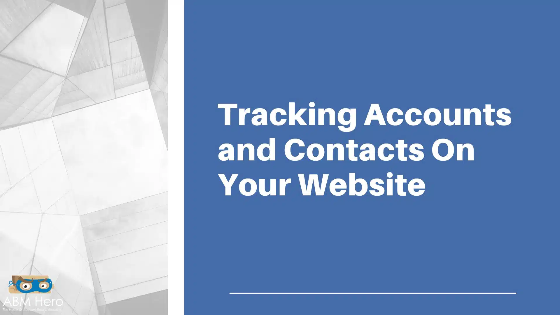 Read more about the article Tracking Accounts and Contacts On Your Website